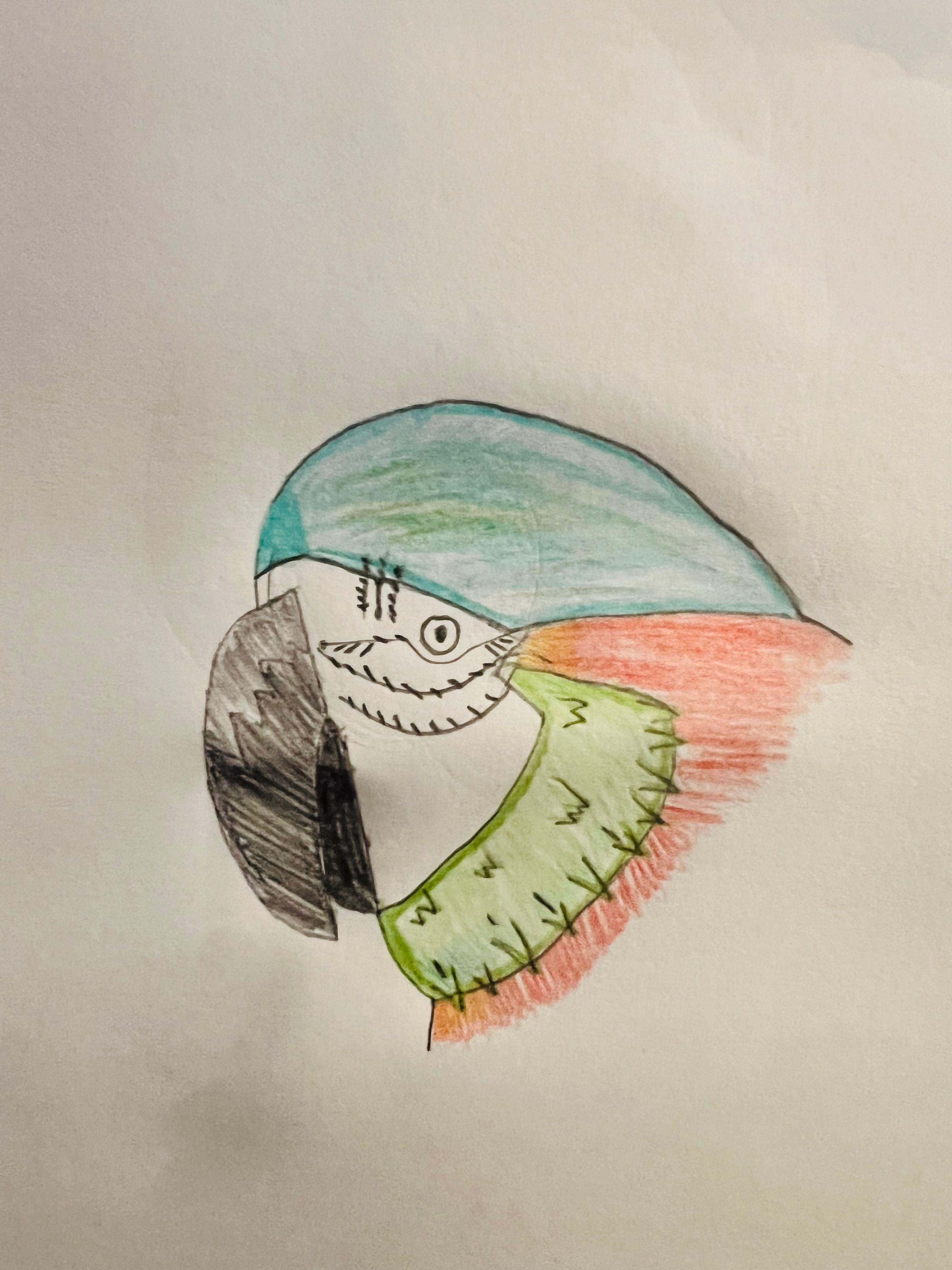 Drawing Club: Realistic Animals | Step-By-Step Drawing Class | Small ...