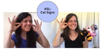 Cat Sign Language Asl ASL: Cat Signs | Small Online Class for Ages 4-18 | Outschool