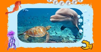 Marine Biology: Life in the Oceans of the World Small Online