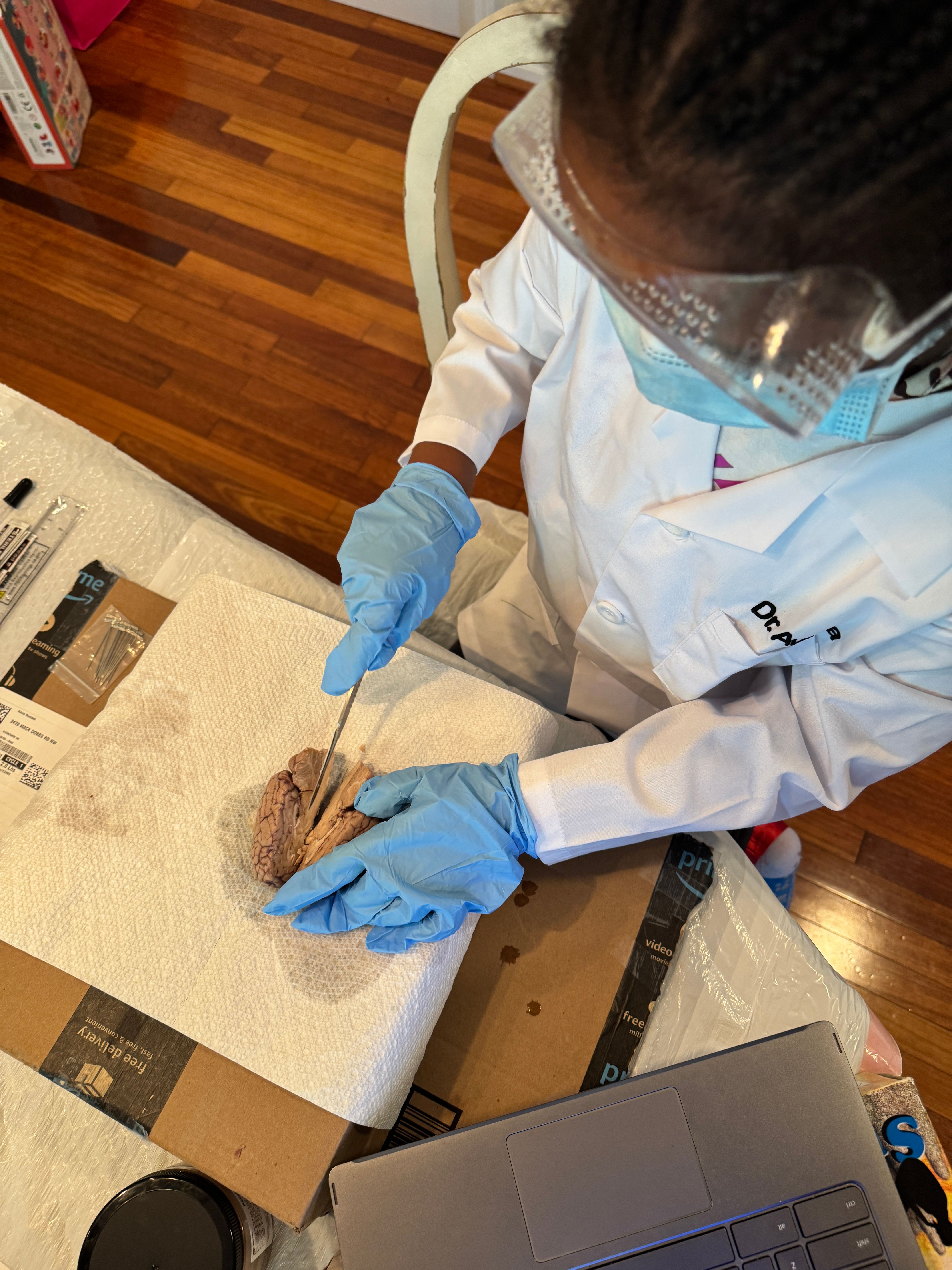Private (1-On-1) Dissection Class | Small Online Class for Ages 10-17 ...