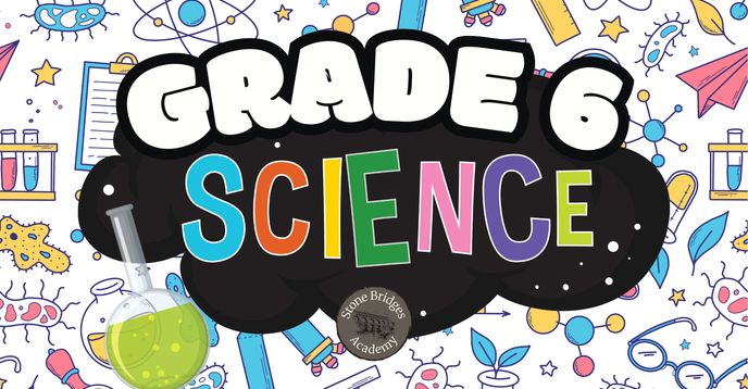 6th Standard Science Science Course 6: 6th Grade Science Course (Full Curriculum, NGSS ...