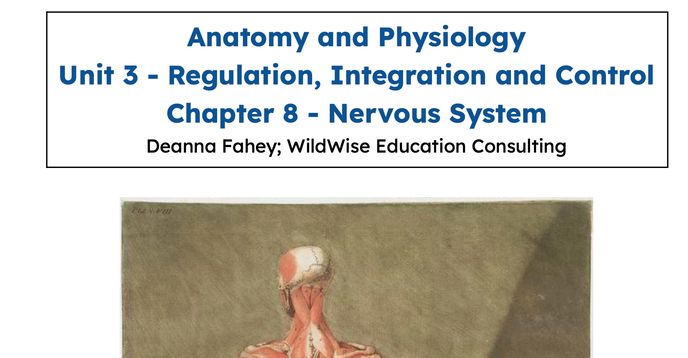 Anatomy & Physiology Self Paced HS Course Chapter 8: Nervous System ...