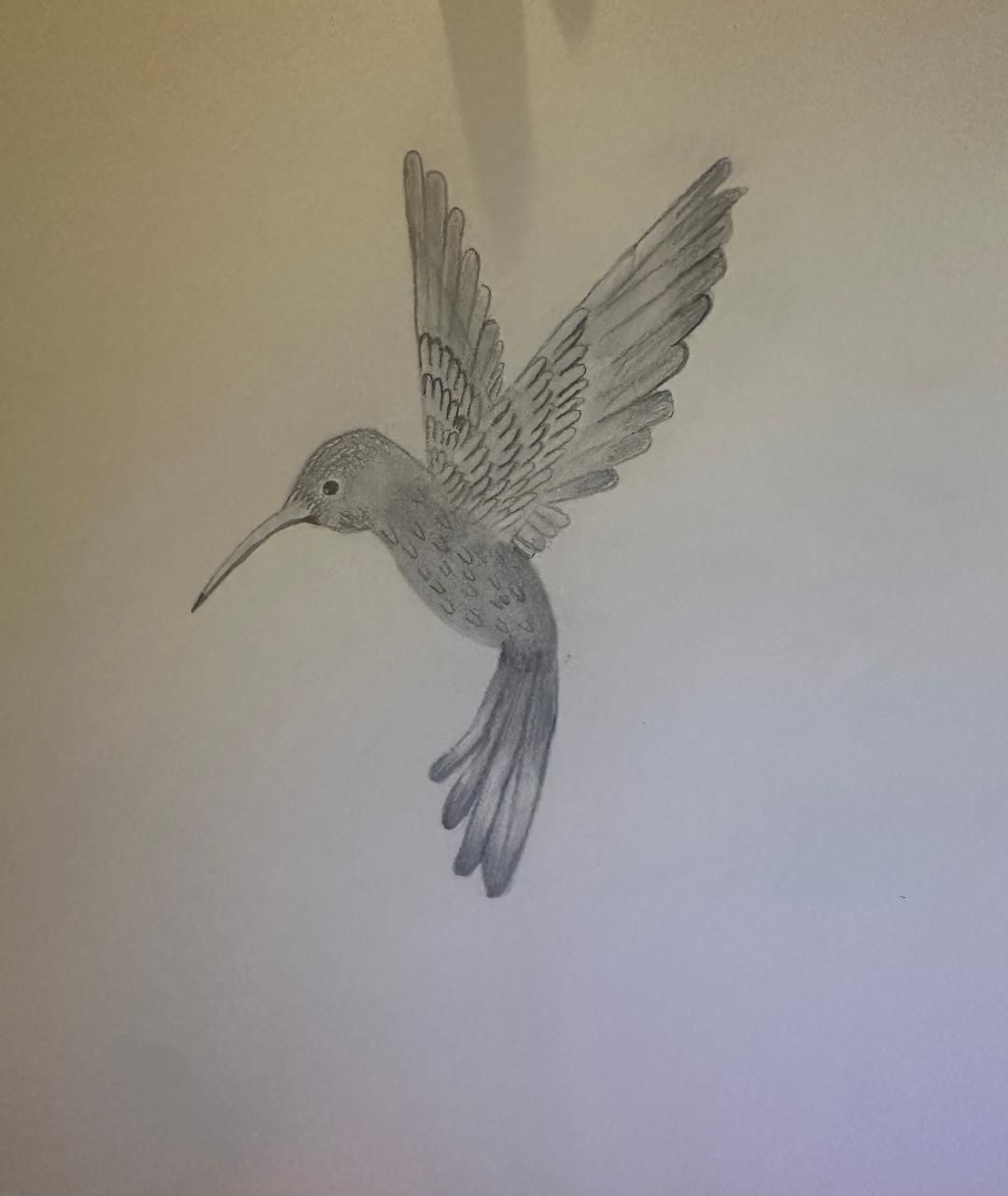 From Sketch to Stunning: Hummingbird Drawing, Detail by Detail | Small ...