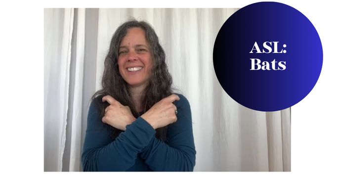Asl Bat ASL: Bat Signs | Small Online Class for Ages 5-18 | Outschool