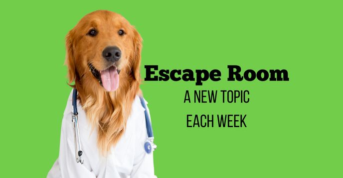 Ongoing) Escape Room Vet Files: One Animal Medical Condition at a