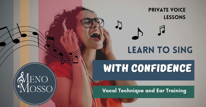 Take Voice Lessons Private Voice Lessons: Sing With Confidence, Vocal Technique and Ear ...