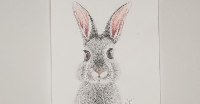 Bunny Realistic Drawing/ Rabbit | Small Online Class for Ages 8-13 ...