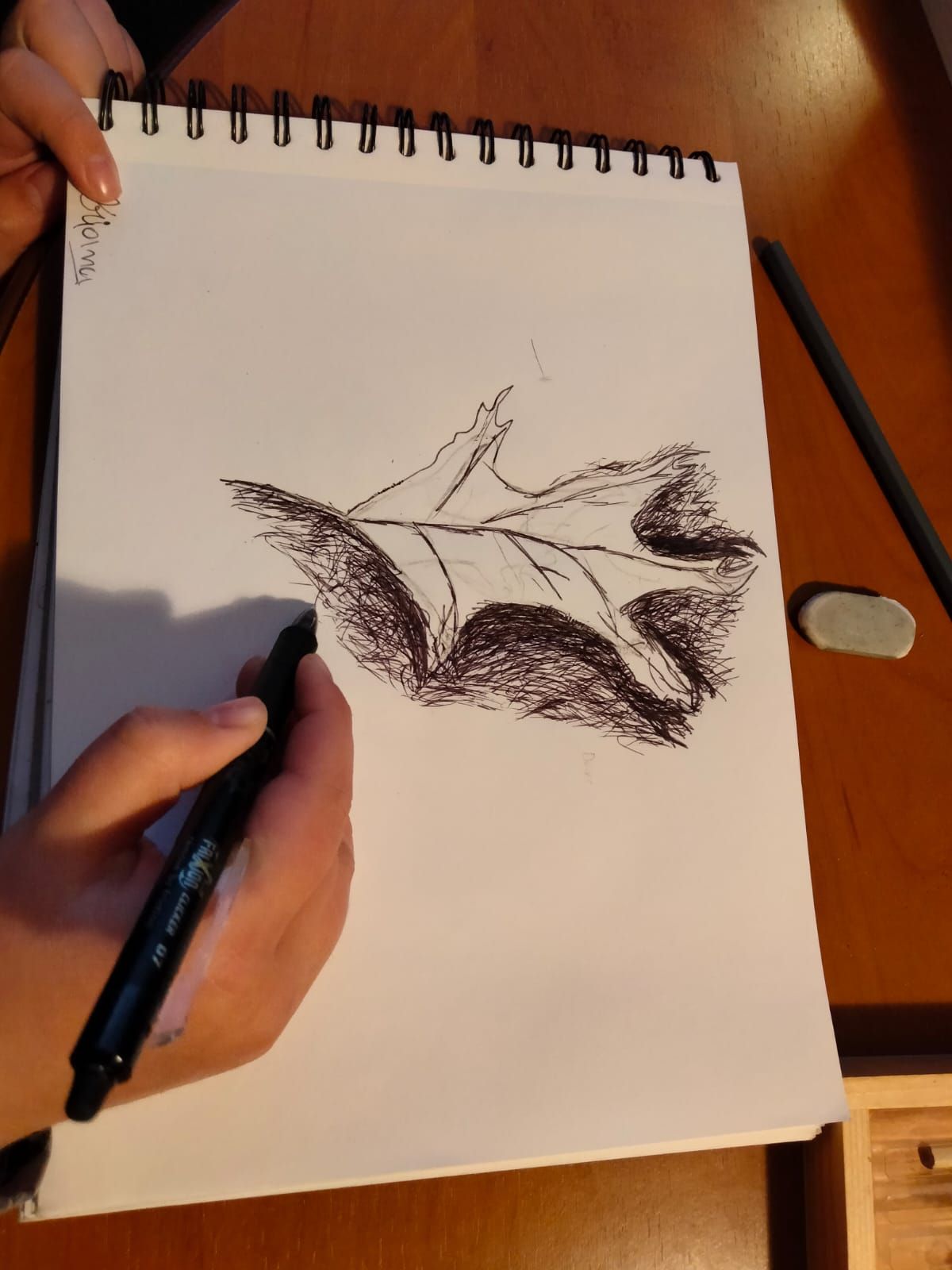 Online Course Ink Drawing Your Introduction to: Ink Drawing | Small Online Class for Ages 11-16 ...