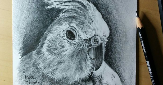 Let s Draw Animals Weekly Drawing Club Teens 13 16 Small Online let-s-draw-animals-weekly-drawing-club-teens-13-16-small-online
