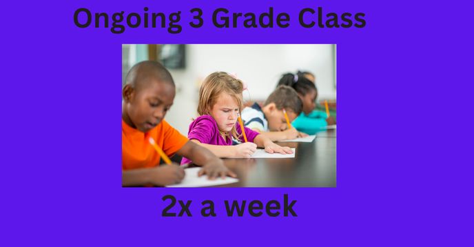 3rd Grade Class (2x a Week) | Small Online Class for Ages 7-11 | Outschool