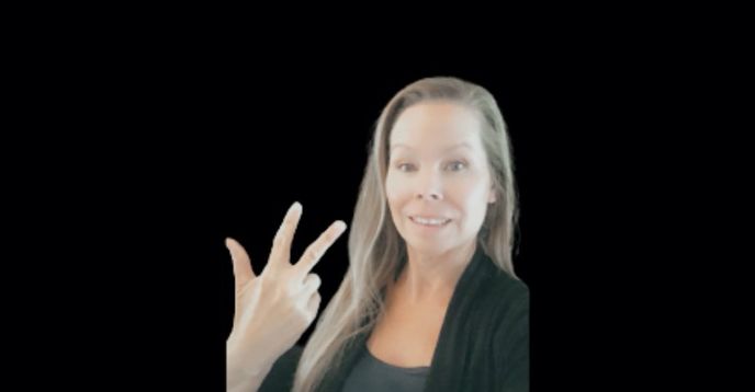 Self Sign Language American Sign Language (ASL) : Level 3 Self-Paced (Ages 7-12) | Small ...