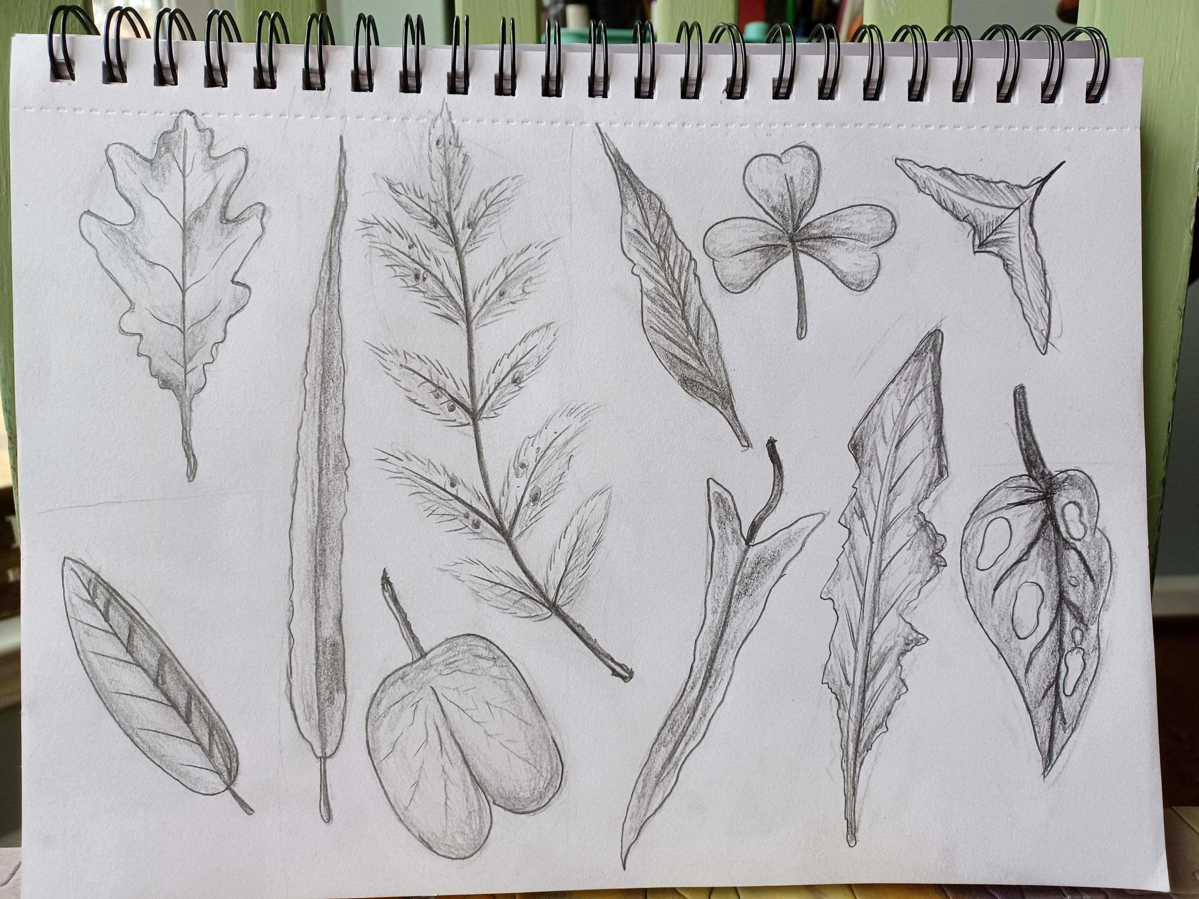 Natural Science Drawing.pdf Scientific Illustration: Where Art Meets Science | Small Online Class ...