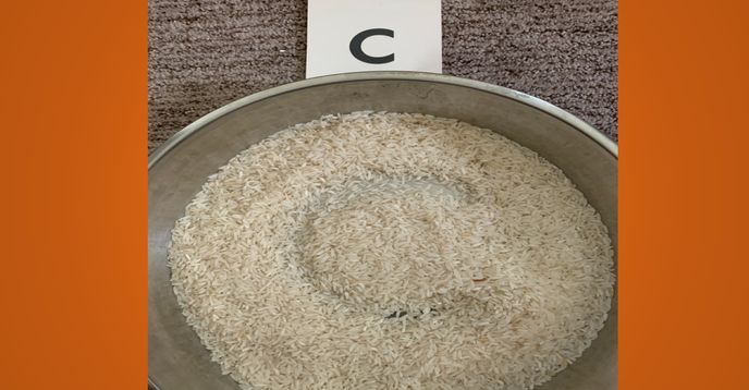 Green Rice Writing Letter Rice Writing - Practice Letter Writing Using a Rice or Bean Tray ...
