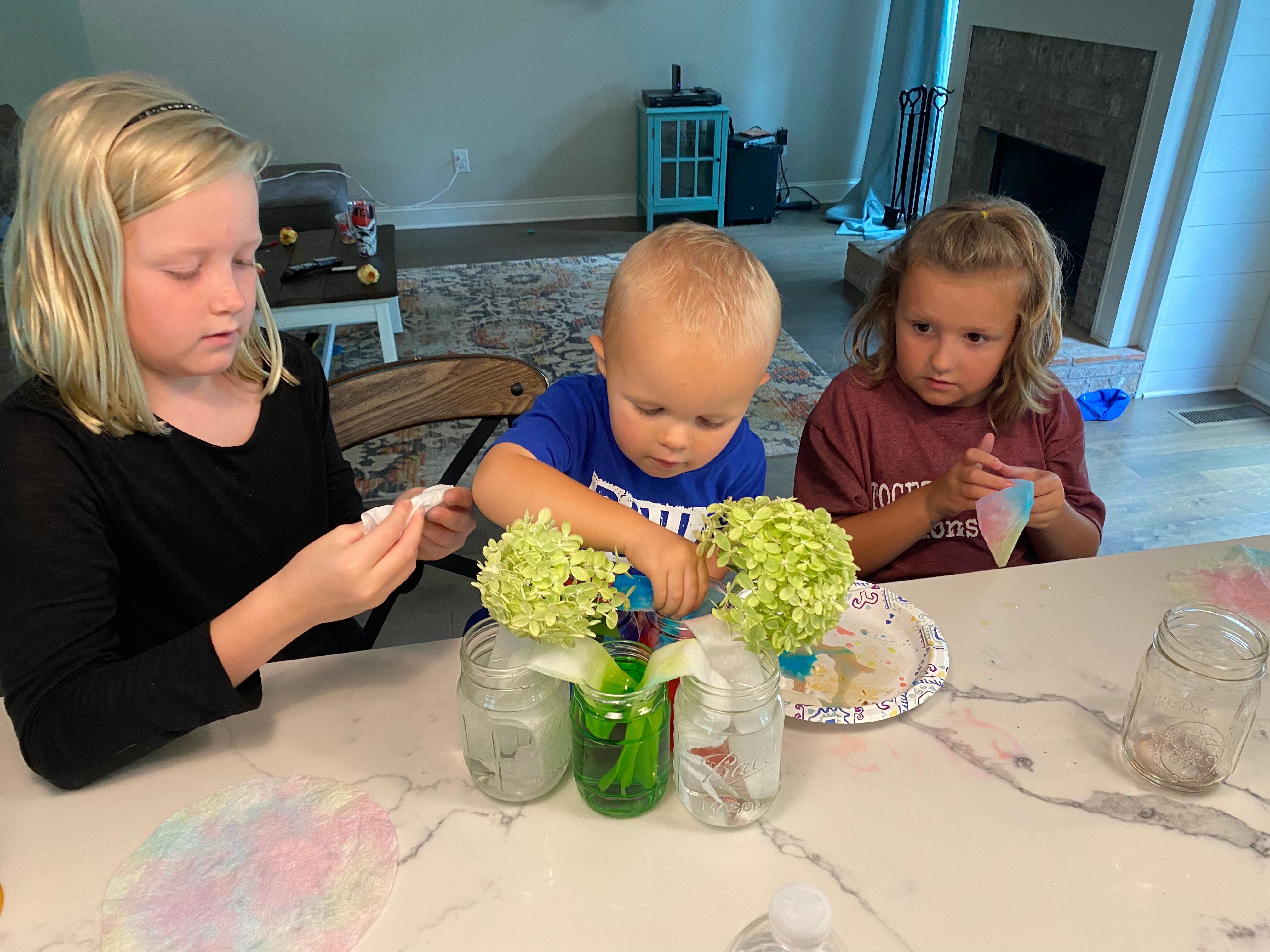A Science Experiment: Crawling Colors! | Small Online Class for Ages 7 ...