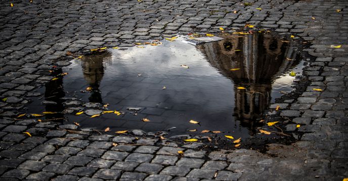 Dungeons & Dragons Multiversal Gaming Club | Small Online Class for ...