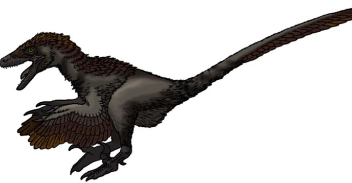True Raptor Dinosaurs 101-F: True Raptors | Small Online Class for Ages 8-13 ...