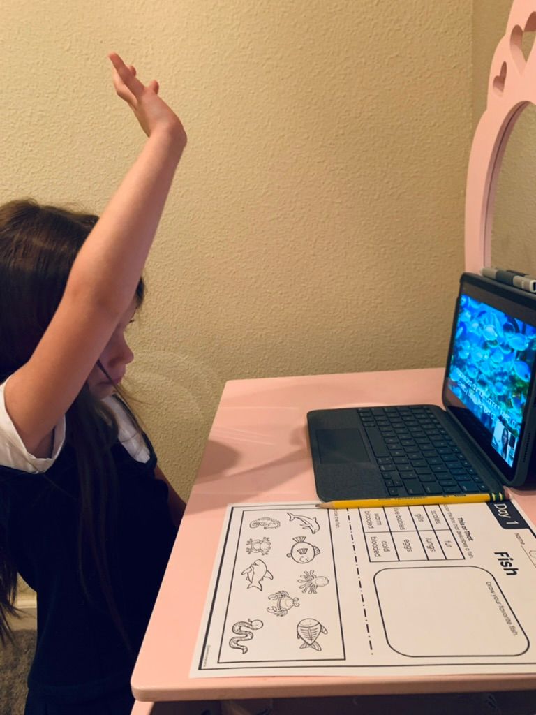 We Are Scientists! Kindergarten and 1st Grade Science | Small Online ...