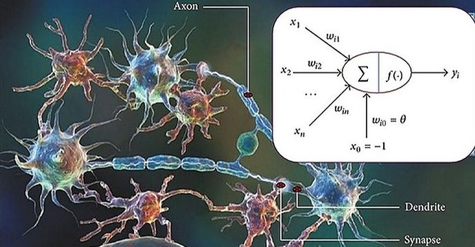 STEM: AI Course - AI Basic Neurons, Brain Simulation, and Machine ...