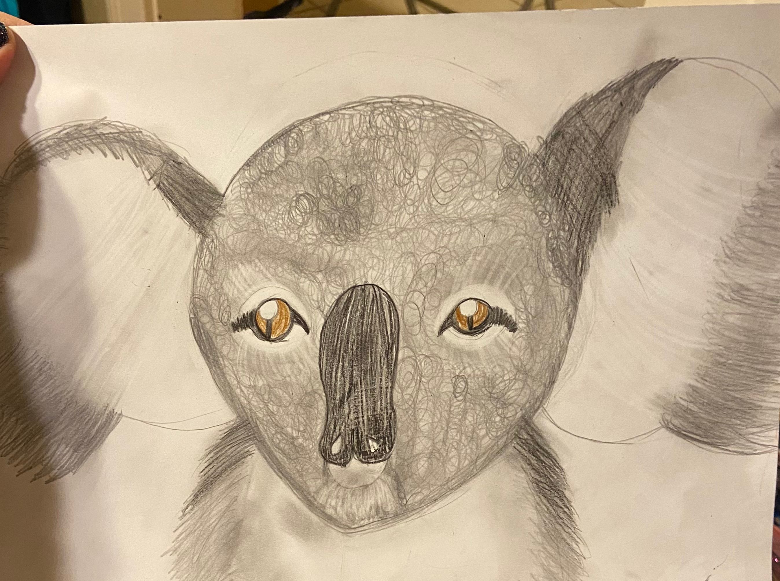 How to Draw a Realistic Koala + Fun Koala Facts! | Small Online Class ...