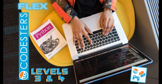 Making Games & Animations With Python Code- Levels 3 & 4 (Self-Paced ...