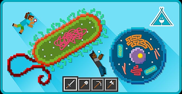 Life System Minecraft Java Edition Cell Biology Course in Minecraft: Discover Life’s Building Blocks (5 ...