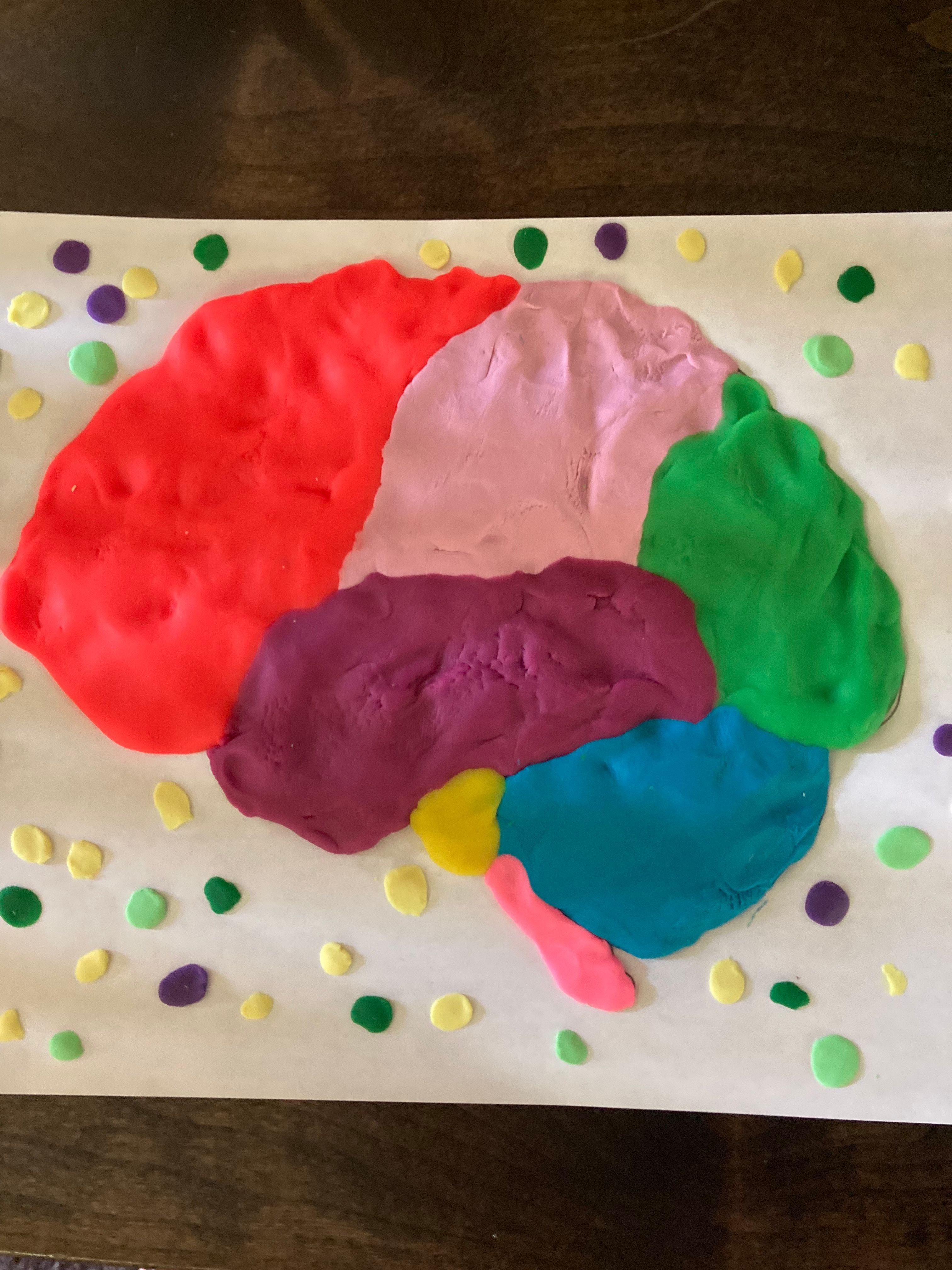 My Amazing Brain- Learn and Create the Brain Anatomy With Modeling ...