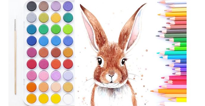 Class Rabbit Drawing How to Draw & Paint a Realistic Rabbit - Watercolour Class + Fun Rabbit ...